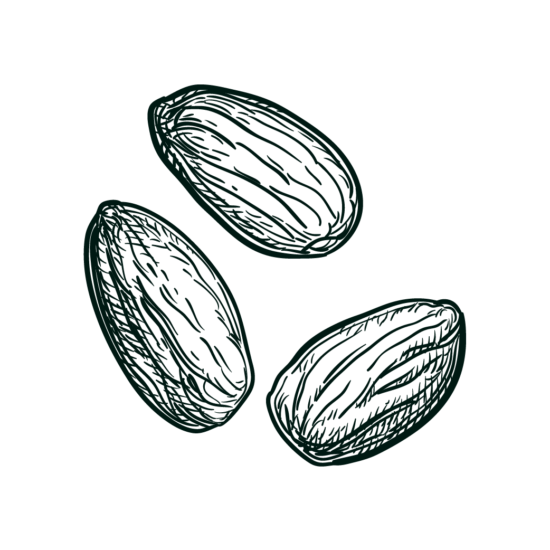 Gravure amandes isautier