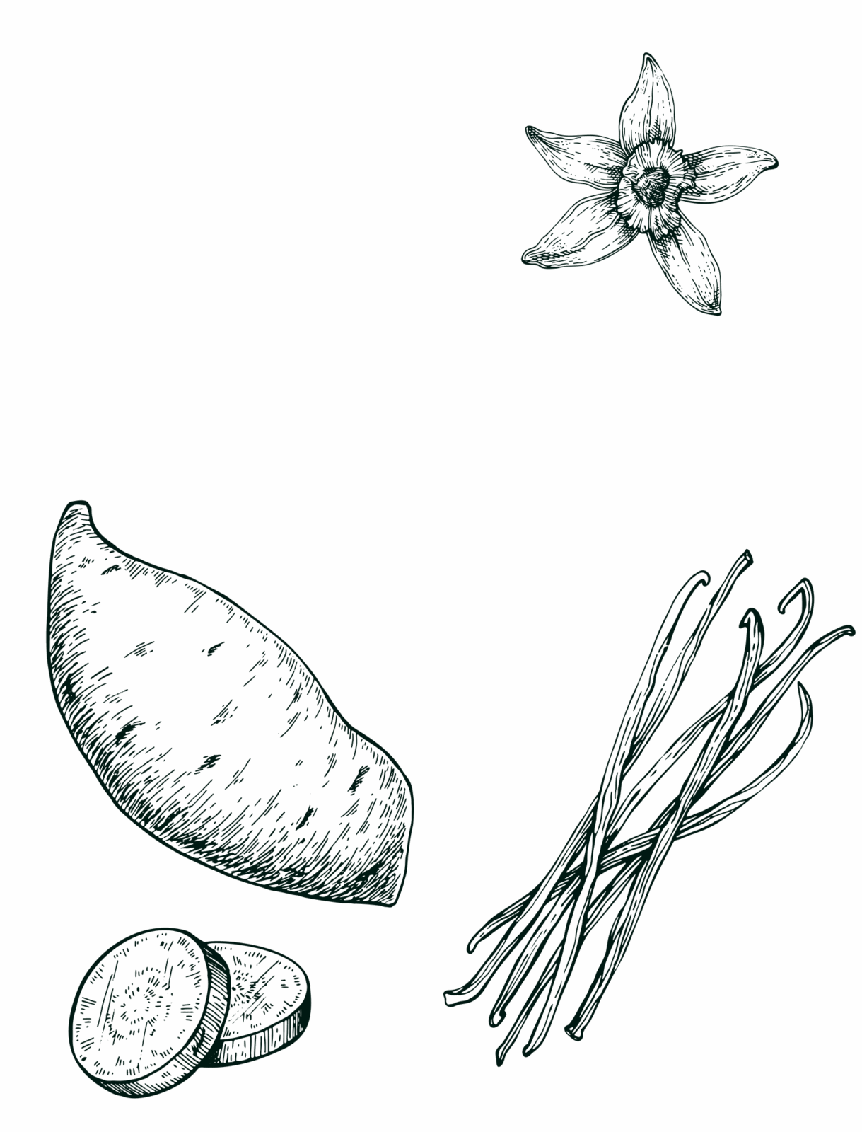 Douceur d'arrangé gato patat' gravure background