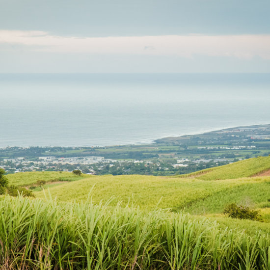 Paysage Réunion Isautier