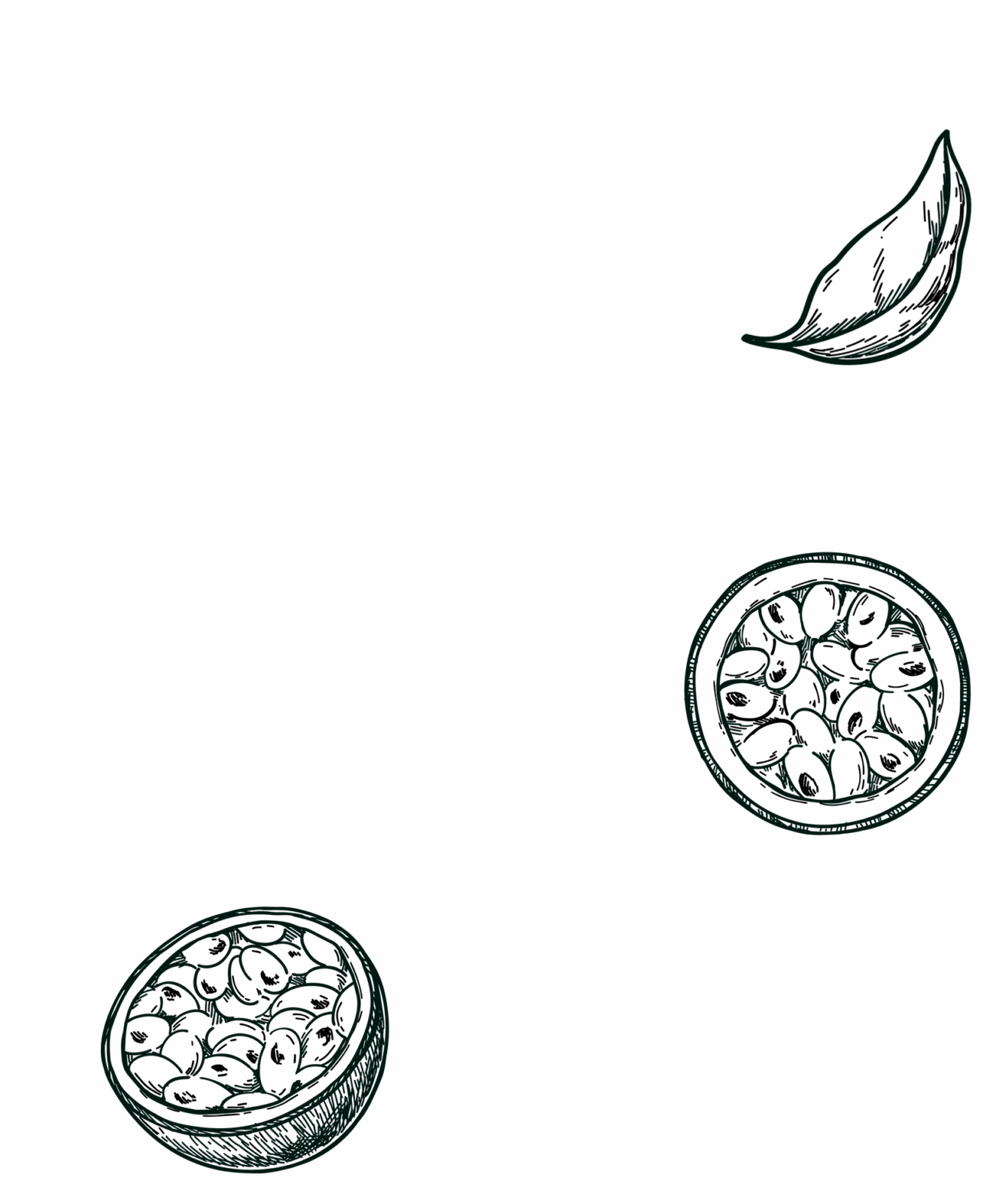 Arhumatik passion gravure background