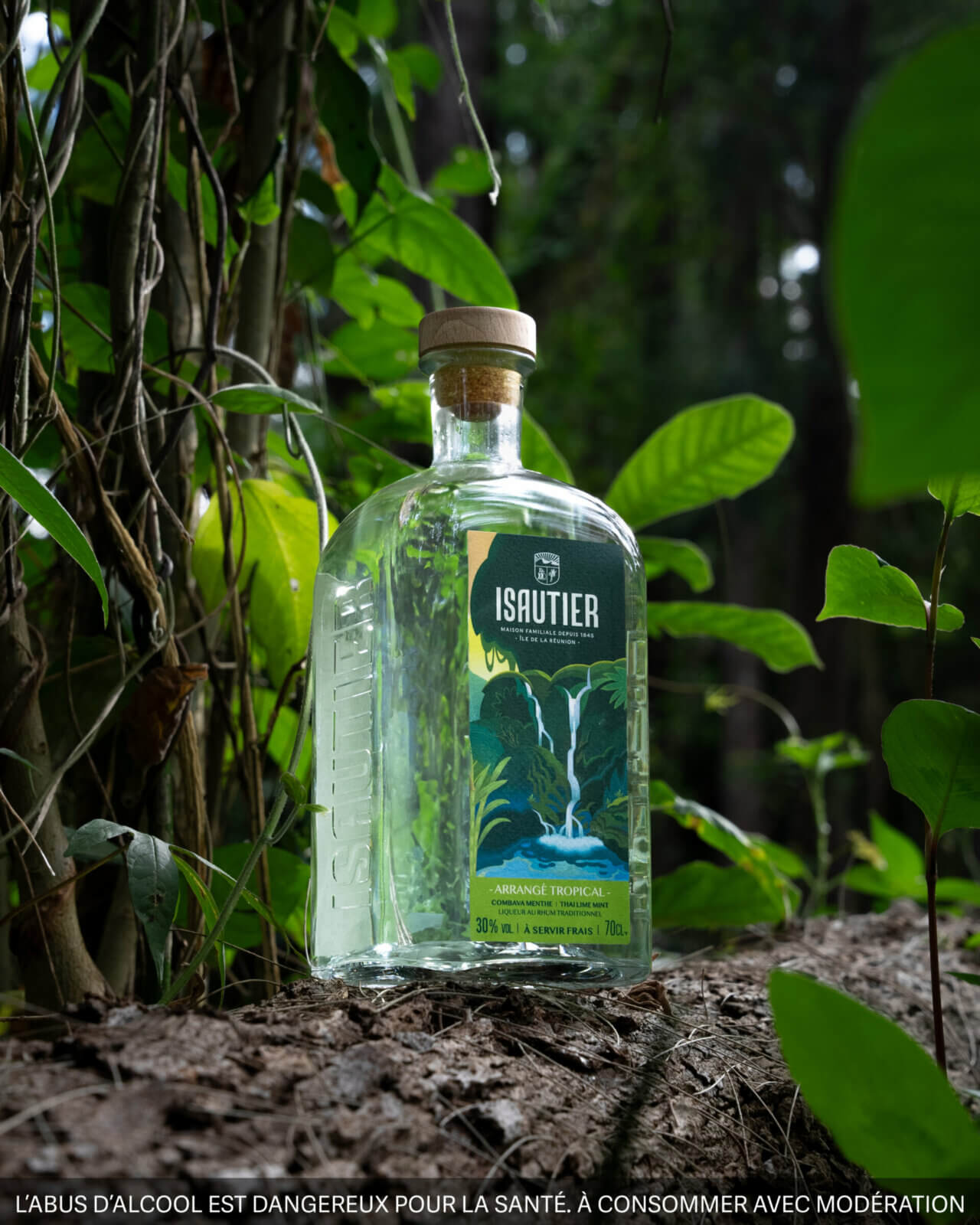 Bouteille de rhum arrangé Isautier « Arrangé Tropical » posée sur un tronc au milieu d’une végétation dense