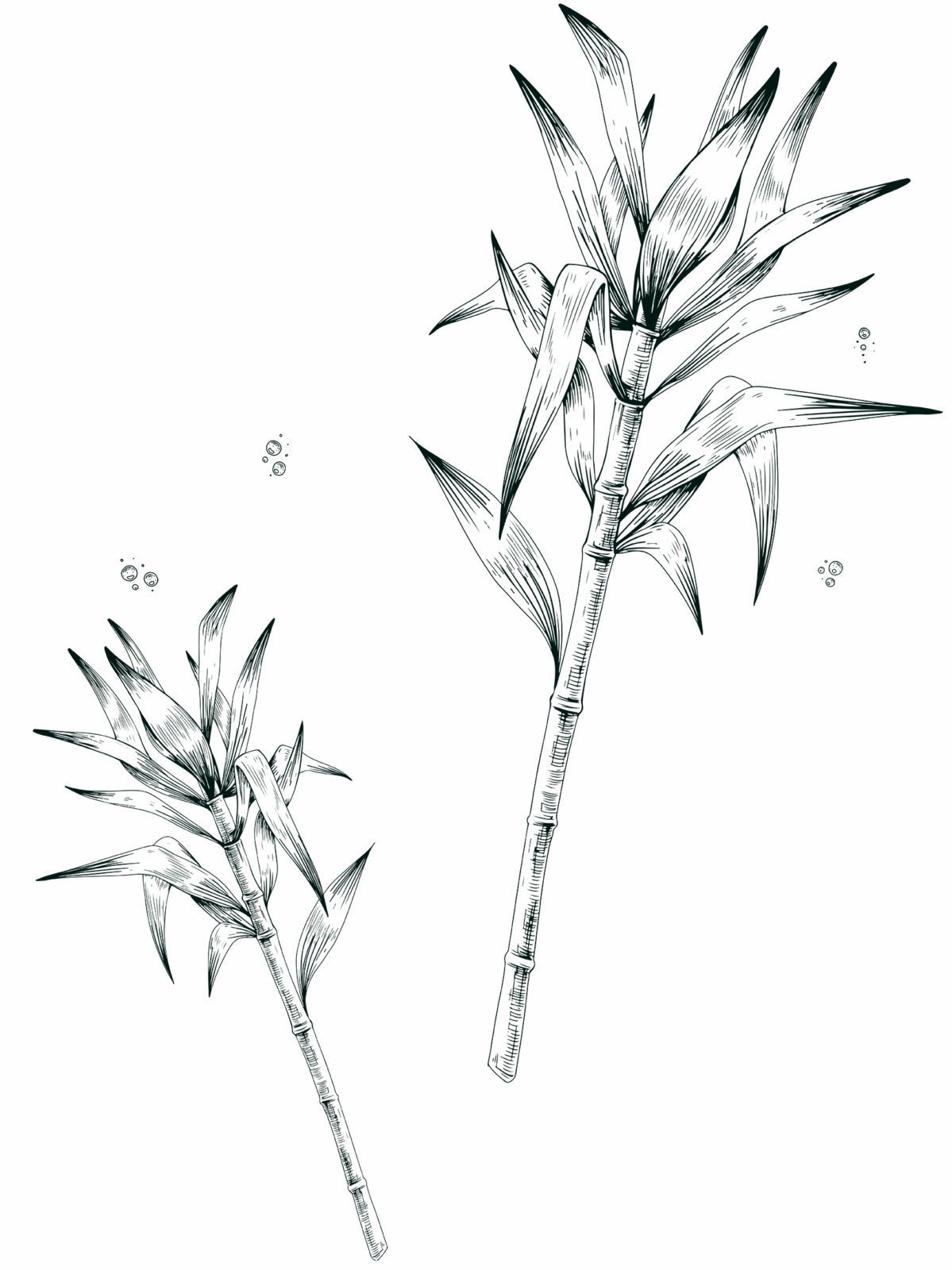 Rhum blanc de dégustation agent double 01