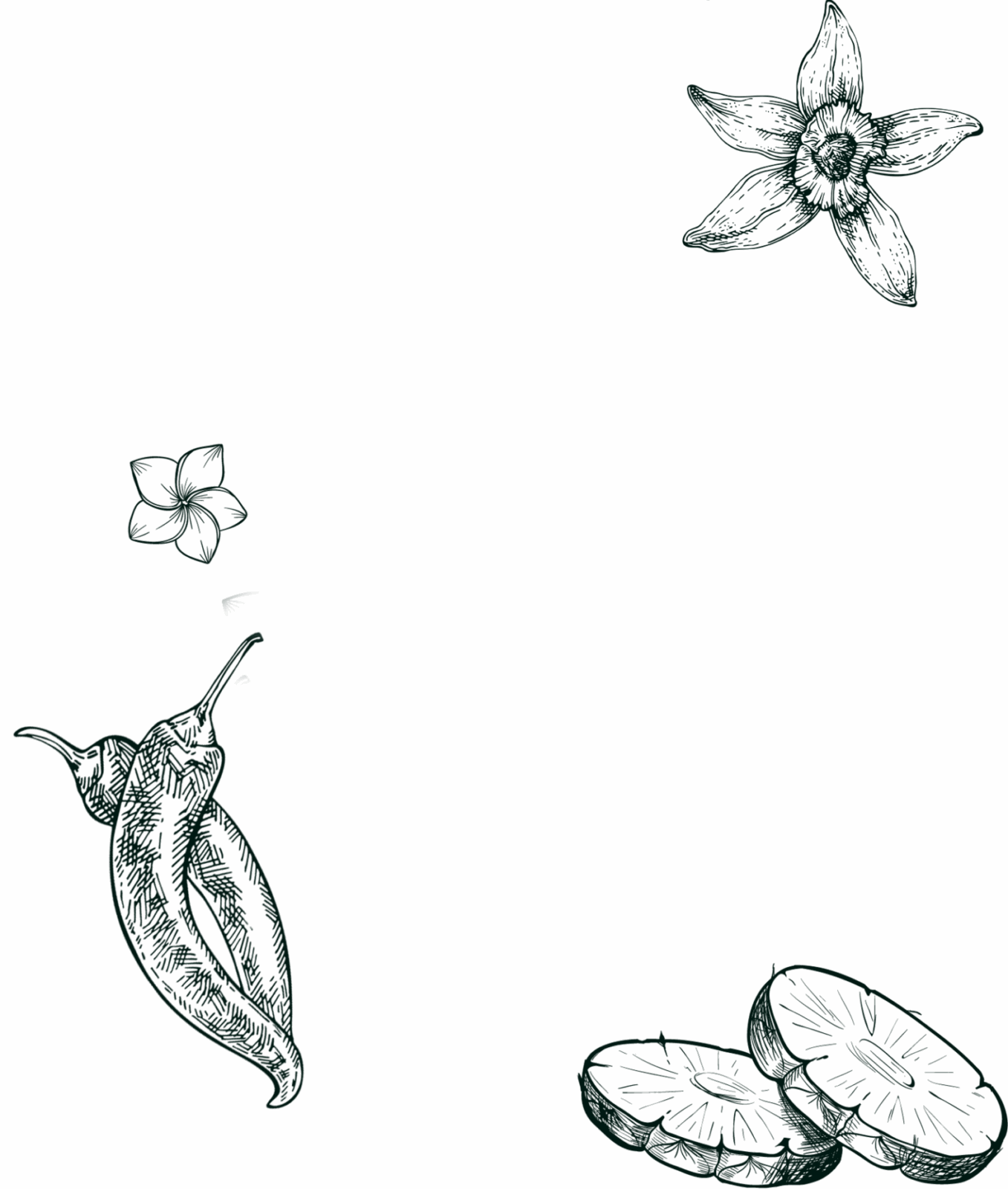 ananas vanilla peper engraving