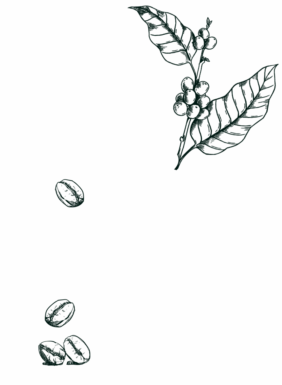 gravure café douceur d'arrangé