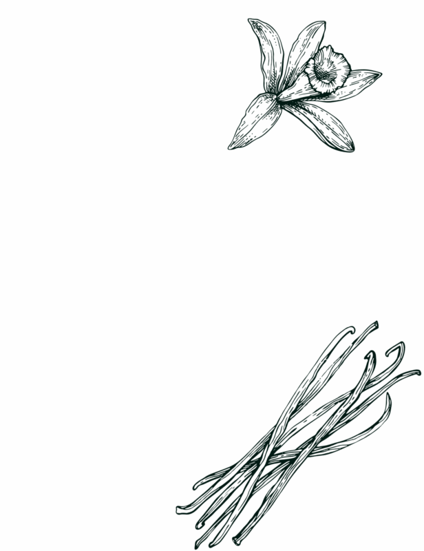 gravure rhum isautier vanille bourbon bio