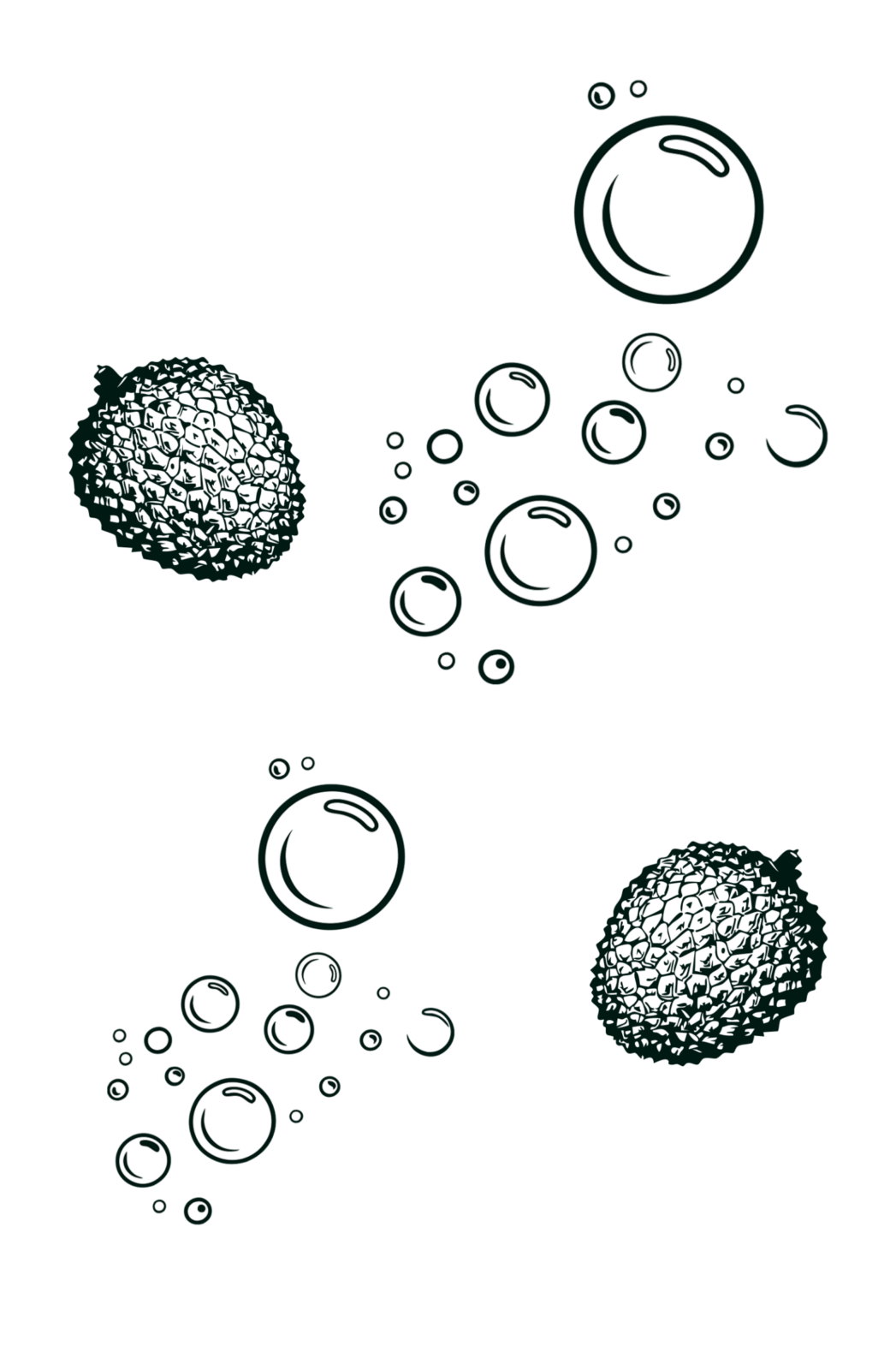 FIZZ LETCHI - Cocktail prêt-à-boire